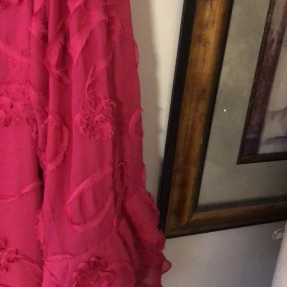 Beautiful Dress Cerise Color with Ornamental Accents and Ruffled Sleeves. - Picture 6 of 9